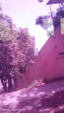This is a short video clip, likely filmed from a moving vehicle. The scene is outdoors, with lush green trees dominating the frame, giving a sense of a park or a tree-lined street. The foliage appears dense and somewhat overgrown, with a prominent, dark-colored tree trunk curving into the upper right of the frame. The overall color palette is influenced by a strong purple hue, which may be due to a filter or lighting conditions.

In the foreground, there's a path or road with dappled sunlight creating shadows, suggesting it's daytime. A notable object is a green staircase with wooden steps, partially visible on the left side of the frame at the beginning of the clip. It appears to be an outdoor staircase, possibly leading to an elevated walkway or structure. Further in the background, glimpses of buildings can be seen, with hints of pink and white structures suggesting a residential or commercial area.

The movement of the camera implies travel, and the blurred effect of the trees and surroundings reinforces this motion. The sky is a pale blue, indicating fair weather. While no people are clearly visible, the presence of infrastructure like the staircase and buildings suggests a populated area.

The video has a watermark in the bottom left corner that reads "Infinix HOT 50Pro". There are no other discernible text elements within the video itself. The overall mood is peaceful and tranquil, with the natural elements taking center stage. The time of day appears to be midday or afternoon, given the brightness and the shadows. The location, Macuto, Venezuela, suggests a tropical or subtropical environment, which is consistent with the abundant greenery.