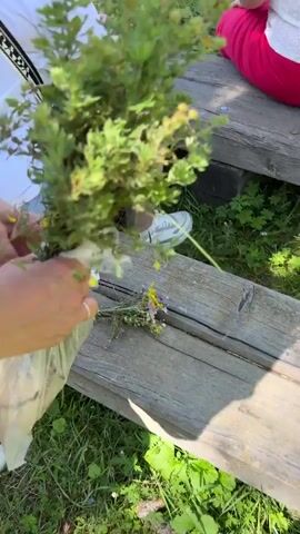 The video shows a close-up of a person holding a bouquet of green leafy plants with small yellow flowers. The bouquet is wrapped in clear plastic. The person's hands, wearing a ring, are visible. In the background, out of focus, there is a wooden surface, possibly a bench, and green grass. Further in the background, two other people are partially visible, sitting or standing. One person is wearing a red outfit and white sneakers. The other people are out of focus and their details are unclear. The scene appears to be outdoors, likely in a natural setting with a blurred background of hills and sky.