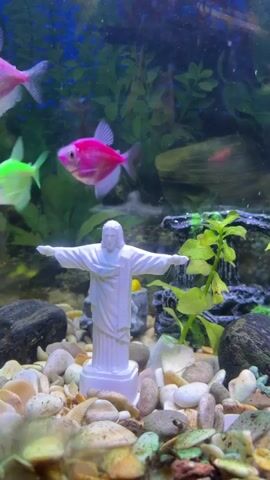 A white statue of Jesus Christ with arms outstretched stands on a gravelly aquarium floor surrounded by various colorful fish. A bright pink fish swims to the left of the statue, and a neon green fish swims in front of it. In the upper background, a pink fish swims to the left, and a pink fish swims to the right, with green aquatic plants visible behind them. The statue is centered in the frame, with the fish swimming in a fluid, dynamic movement.