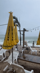 Stormy beach morning documented with wildlife encounters
