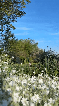 Morning garden scene and mirror selfie captured in Bulgarian village