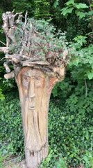 Tree face carving spotted in lush Tallaght setting
