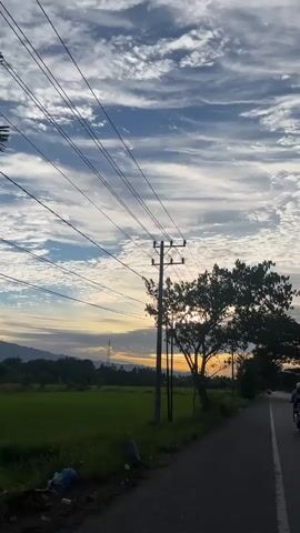 This is a vertical, handheld video clip of a rural road at sunset. The road is asphalt, and there's a grassy shoulder on the left. A power line with multiple wires stretches across the upper part of the frame, supported by a wooden pole. To the right of the pole, a large tree with dark green foliage is silhouetted against the sky. In the distance, there are green fields, trees, and hills. The sky is filled with scattered white clouds against a blue background, with the sun low on the horizon, casting a warm orange and yellow glow. A single person is riding a motorcycle on the road, moving away from the camera. There are no other visible people or vehicles.