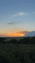 Sunset observed over rural Zornitsa, Bulgaria countryside with dog