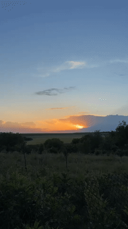 Sunset observed over rural Zornitsa, Bulgaria countryside with dog