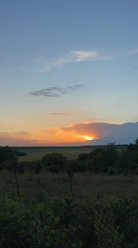 Sunset observed over rural Zornitsa, Bulgaria countryside with dog