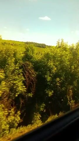 The video shows a view from a moving vehicle, looking out at a landscape of trees and sky. The trees are lush and green, with some areas of golden grass visible. The sky is blue with a few white clouds. The camera is slightly tilted, giving a sense of motion. There are no people or specific objects visible in the scene. The video appears to be a short clip, possibly taken while traveling through a rural or natural area.
