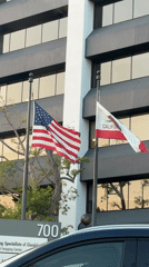 Flags wave outside commercial building in early morning Glendale