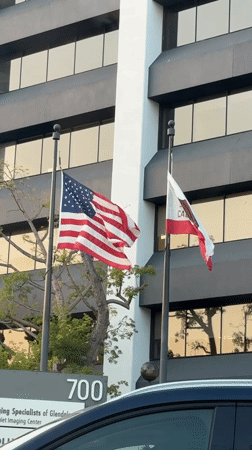 Flags wave outside commercial building in early morning Glendale