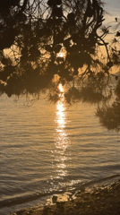 Evening sunset captured along Montenegro's Adriatic coast in Bar