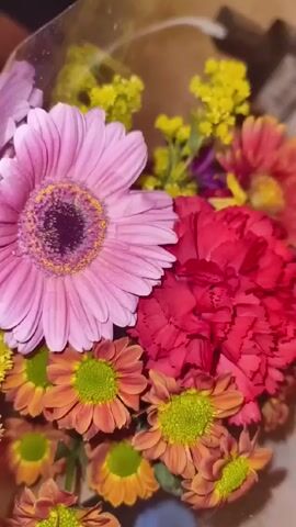 A close-up shot displays a colorful bouquet of flowers. Prominent blooms include a large pink Gerbera daisy, a red carnation, and small orange chrysanthemums with green centers. Accents of yellow and purple flowers are also visible. The bouquet is likely contained in a plastic wrap or vase.  A person’s voice can be heard speaking, but the person is not visible.