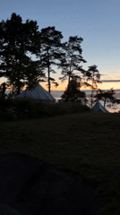 Dawn walk captured at waterfront camping site in Horten