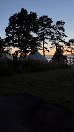 Dawn walk captured at waterfront camping site in Horten