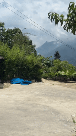 Woman spotted in early morning Sa Pa Ward outdoor area