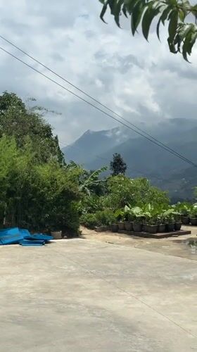 Woman spotted in early morning Sa Pa Ward outdoor area