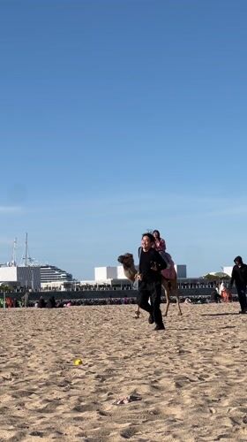 Afternoon recreation and street life captured across Tangier waterfront