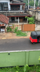Auto-rickshaw and cow share rural road in Kabalana