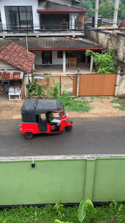 Auto-rickshaw and cow share rural road in Kabalana