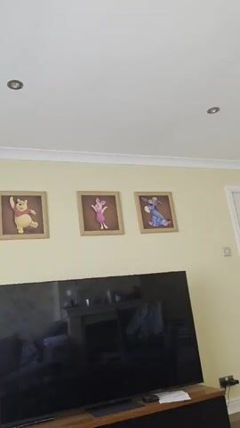 The video depicts a section of a living room wall. The wall is painted a light yellow, and below the white ceiling are three framed pictures. From left to right, the pictures depict Winnie the Pooh, Piglet, and Eeyore, all characters from the Winnie the Pooh franchise. Below the pictures is a large, flat-screen television, which reflects the room’s interior, including a fireplace and furnishings. The TV sits on a wooden stand.