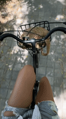 Morning bicycle journey documented in rural Indonesia with horse encounters