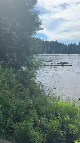 The video pans across a serene lake scene on a sunny day. In the foreground, lush green vegetation lines the shore. The middle ground features a calm lake with a few wooden platforms or rafts. On one of these platforms, several geese are gathered. A person is seated on a kayak or small boat near the platforms, appearing to fish or relax. In the distance, more people are visible on the water, some in boats and others possibly swimming. The background is dominated by a dense forest of evergreen trees under a partly cloudy sky. The sun shines brightly, casting a gentle light and creating some lens flare in the upper left corner. The overall atmosphere is peaceful and recreational.