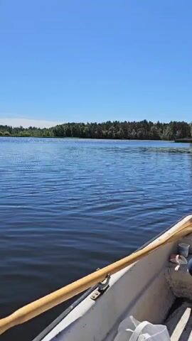 The video opens with a view of a calm lake under a clear blue sky. In the foreground, the interior of a small white boat is visible. An oar rests along the side of the boat. The camera pans slightly to reveal a man in the boat wearing a dark t-shirt and jeans. He is holding a fishing rod and appears to be casting his line into the water. He has glasses and his hair is pulled back. The boat is moving slowly, indicated by the ripples on the water. In the background, a dense line of trees forms the shoreline of the lake. The scene conveys a peaceful day of fishing.