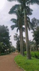 Rural medical district road documented in Vom, Nigeria