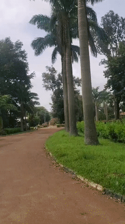 Rural medical district road documented in Vom, Nigeria