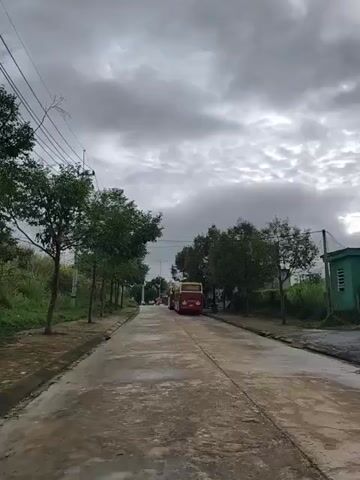 The video shows a paved road lined with trees on both sides. The sky is cloudy and overcast, suggesting it may be a gray or rainy day. In the distance, a red and yellow bus is parked on the side of the road. There are power lines visible overhead. The road appears to be empty except for the parked bus. The environment appears to be rural or semi-rural, with vegetation and some buildings visible in the background.