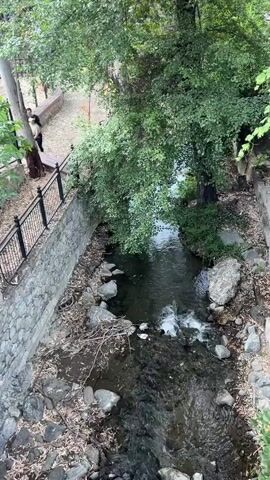 A high-angle shot looks down on a narrow, rocky creek flowing through a wooded area. A stone retaining wall lines the left bank, topped by a black metal fence and a path. A person wearing a dark t-shirt and shorts stands on the path, facing away from the camera, near a wooden bench. Trees with green leaves overhang the creek, casting shadows on the water. The creek bed is filled with rocks and fallen leaves.