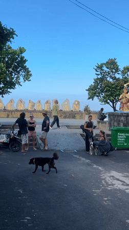 Lost dog posters spotted in Indonesian coastal town