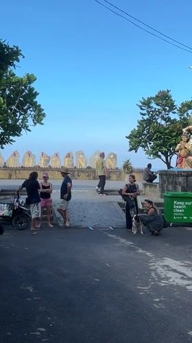Lost dog posters spotted in Indonesian coastal town