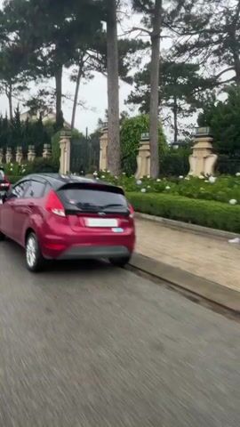 A black SUV is parked on the right side of the road, partially obscuring a red car. A scooter is parked in front of a large gate. Beyond the gate, there is a well-maintained garden with manicured bushes and flowering plants. Tall trees line the perimeter of the property. The road is wet, suggesting recent rain. The video pans to the left, showing more of the road and sidewalk. A white SUV is seen driving away from the camera. Then, a blue truck is seen driving down the road. The truck has a tarp covering its cargo. The video continues to pan left, showing more of the road and sidewalk. Another truck is seen driving away from the camera. The sky is overcast.