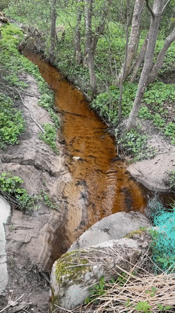 Discolored stream documented in Russian woodland near Zaprudnya