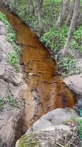 Discolored stream documented in Russian woodland near Zaprudnya