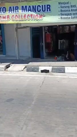 The video shows a street view in front of several shops. The shops have open storefronts displaying various items. In the foreground, there is a gray asphalt road with a white and black striped curb. The shops appear to be small businesses. One shop has a sign that says "CUR BLEGA." Another shop has a banner that says "PALA PRESIDEN." There are some red and white flags visible, suggesting a national holiday or celebration. The lighting indicates it is daytime, likely sunny. No people are clearly visible or engaged in any specific actions. The environment appears to be an urban or semi-urban setting.