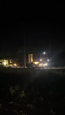 A train is visible at night. The train is yellow and has lights on. There are trees and bushes in the foreground. The train appears to be on a track. There are power lines in the background.