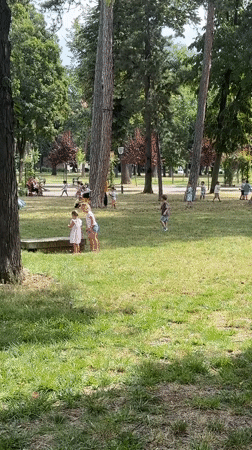 Kids on a wooden platform in a sunny Kragujevac park