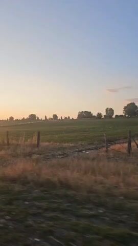 This media file captures a scenic view of a rural landscape during sunset. The scene is set in Көксаяқ ауылдық округі, Kazakhstan. The sun is setting on the left side of the frame, casting a warm, golden glow across the sky and the fields. The sky is a gradient of soft blues and oranges, typical of a sunset.

The foreground consists of a rough, uneven surface, possibly a dirt road or unpaved ground, with dry, tall grass and some darker foliage. Beyond this, there is a barbed wire fence with wooden posts, separating the foreground from a large, green field. This field appears to be agricultural land, possibly a pasture or a crop field, with some areas of drier, golden grass visible.

In the distance, a line of trees forms a silhouette against the horizon, adding depth to the landscape. The overall atmosphere is peaceful and serene, evoking a sense of calm and natural beauty. The time of day is clearly sunset, characterized by the low angle of the sun and the warm hues in the sky. There is no visible text in the media file. The activity taking place is a quiet observation of the natural environment during a beautiful sunset.