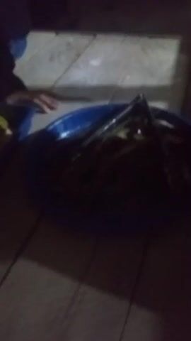 The video shows a close-up of raw chickens in a blue container, possibly being prepared for cooking. A person is visible in the background wearing a pink shirt, and another person's hand is reaching towards the chickens. The environment appears to be dimly lit, possibly outdoors or in a poorly lit indoor space. The chickens are whole and appear to have been seasoned. There are other objects visible in the foreground, including a lighter and cigarette pack, but they are out of focus. The camera is shaky, suggesting it may have been held by hand.