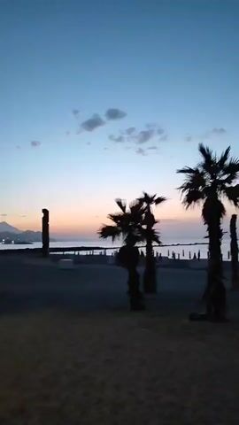 The video shows a sunset over a beach with palm trees. The sky is a gradient of blue and pink. The water is calm and reflects the colors of the sky. There is a tall, dark pillar in the middle of the beach. In the distance, there are mountains and buildings. The beach is sandy and appears to be empty.