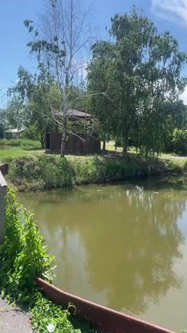 The video shows a scenic view of a pond or lake on a sunny day. On the left side of the screen, a wooden bridge extends over the water. Lush green vegetation grows along the banks and climbs the railings of the bridge. In the background, trees and a small wooden structure are visible. The water is calm and reflects the sky and surrounding greenery. The camera pans across the scene, capturing the bridge and the tranquil water. The sky is blue with scattered white clouds.