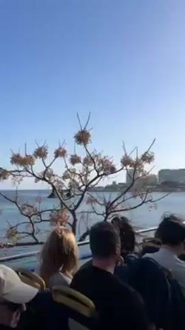 The video depicts a view from the top deck of an open-top tour bus, which is full of people. The bus is traveling along a road that runs parallel to the coastline. On one side of the road, there are buildings, including apartments and possibly businesses. Parked cars line the street. On the other side is the ocean, calm and blue under a clear, bright sky. Decorations, possibly for the holidays, including a large, wireframe ship, are visible. The video appears to be taken during the day with plenty of sunlight. The people on the bus are facing forward.