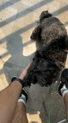 Person enjoys afternoon snack with dog in Mexican home