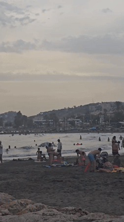 Málaga beach afternoon into sunset, people and wildlife included