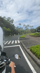 First-person scooter ride along a tree-lined road