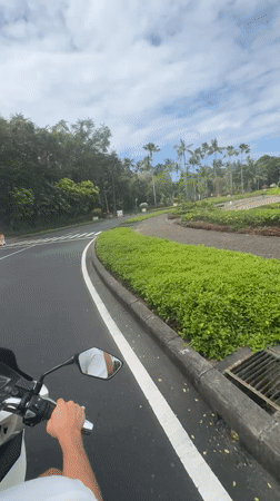 First-person scooter ride along a tree-lined road