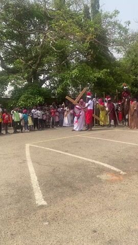 A religious procession is underway on an asphalt parking lot, demarcated by white lines. A person dressed in a white robe and a red sash is carrying a large wooden cross on their back. The person struggles to keep the cross upright. Several other people, dressed in attire reminiscent of ancient Roman soldiers, accompany the person with the cross. One of them is on horseback. A crowd of spectators, including children, line the perimeter of the parking lot, watching the procession. A large tree with dense foliage forms the backdrop of the scene. The overall lighting suggests a sunny day.