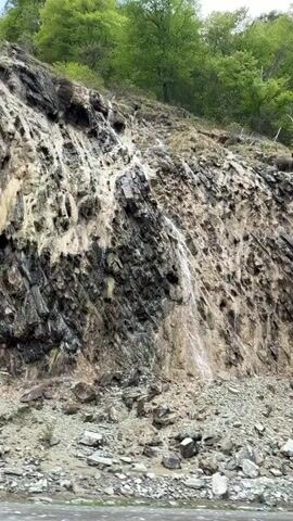 The video shows a mountainside with water running down the exposed rock face.  The mountain is covered with green trees. The sky is cloudy and gray. The base of the mountain is covered with rocks and debris. There is a small tree growing at the base of the mountain.