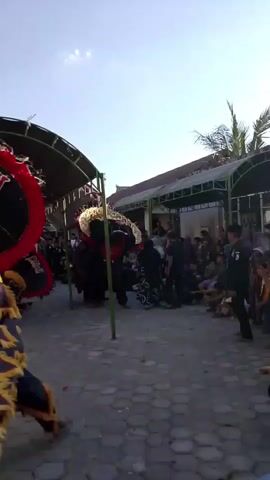 The video captures an outdoor cultural performance, likely in a village setting, under a bright, clear sky. In the foreground, a large, elaborately decorated costume, possibly part of a traditional dance, is visible on the left. This costume features yellow and black fringes and appears to be made of dark fabric. To the right and slightly further back, another, larger costume, resembling a mythical creature or demon with a fierce face, gold embellishments, and red accents, is the focal point of the activity. People in dark clothing are visible behind and around this creature costume, suggesting they are performers or organizers. A crowd of onlookers, dressed in casual attire and some wearing headscarves, is seated or standing along the right side of the frame, observing the performance. A partially covered walkway or stage structure is present in the background, with buildings visible beyond. The ground is paved with interlocking stones. The overall atmosphere appears festive and engaging, with the performance drawing a significant audience.